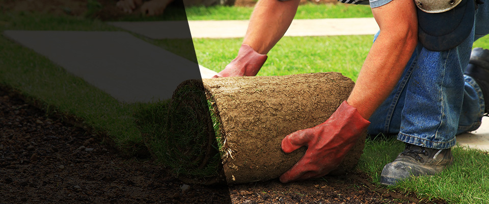 Grosse Pointe Landscapers